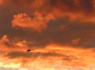 Harvest Moon Balloon Fest, Hazleton, PA, 2000 - In between a spectacular rainbow and a balloon glow!